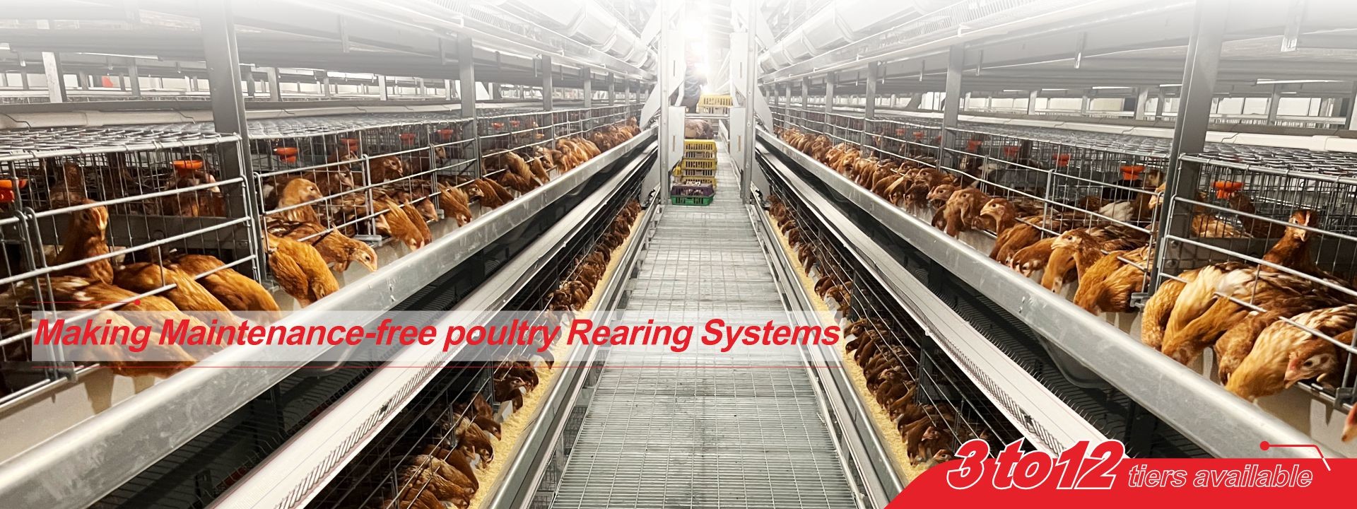 ποιότητας Σύστημα κλουβιού μπαταριών πουλερικών εργοστάσιο