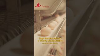 Farmrob | Σταθερή συλλογή αυγών με ποσοστό θραύσης 0,2% #poultryfarm #chicken #factoryproducts