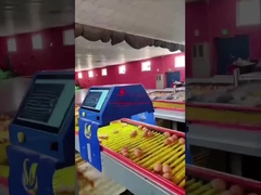 Farmrob 99,8% ακρίβεια έξυπνος μετρητής αυγών 25W 220V 50HZ ISO9001 εγκριθεί