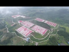 Σύστημα κλουβιού μπαταριών πουλερικών