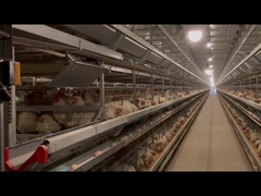 Σύστημα στρωμάτων