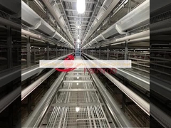 Οικονομικά αποδοτικό στρώμα σύστημα κλουβιών κοτόπουλου Q235 χάλυβα