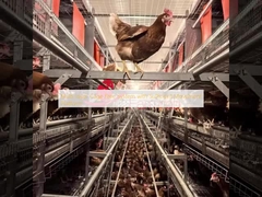 Πολυεπίπεδο σύστημα χωρίς κλουβί με επαρκή πλατφόρμα κίνησης