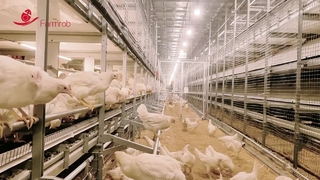 Σύστημα πρόνοιας Farmrob